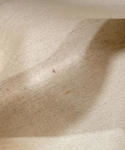 GUCCI（グッチ）GUCCI (グッチ) シェリーラインPVCトートバッグ ベージュ×ブラウンの古着・服飾アイテム