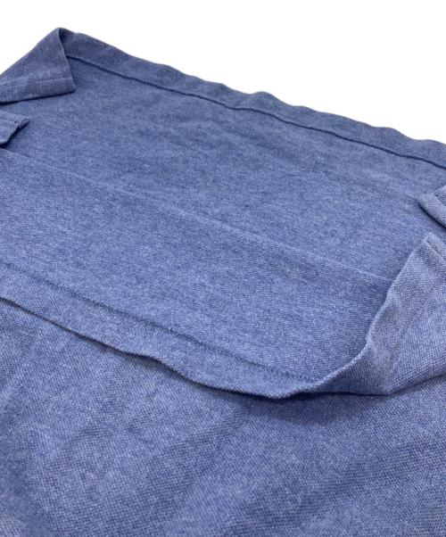 POLO RALPH LAUREN（ポロ・ラルフローレン）POLO RALPH LAUREN (ポロ・ラルフローレン) ポニー刺繍ポロシャツ ブルー サイズ:Sの古着・服飾アイテム