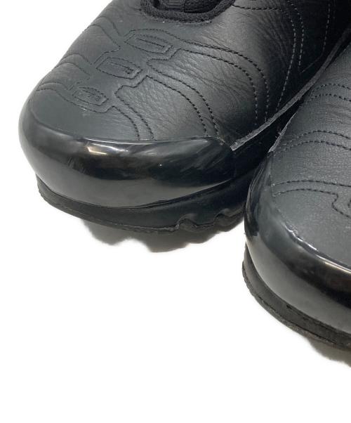 NIKE（ナイキ）NIKE (ナイキ) W AIR MAX PLUS BLACK/WHITE ブラック サイズ:29cmの古着・服飾アイテム