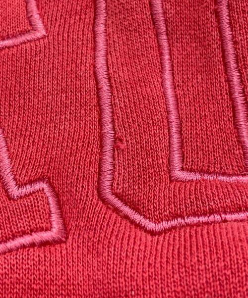 stussy（ステューシー）stussy (ステューシー) アーチロゴジップパーカー レッド サイズ:Ⅼの古着・服飾アイテム