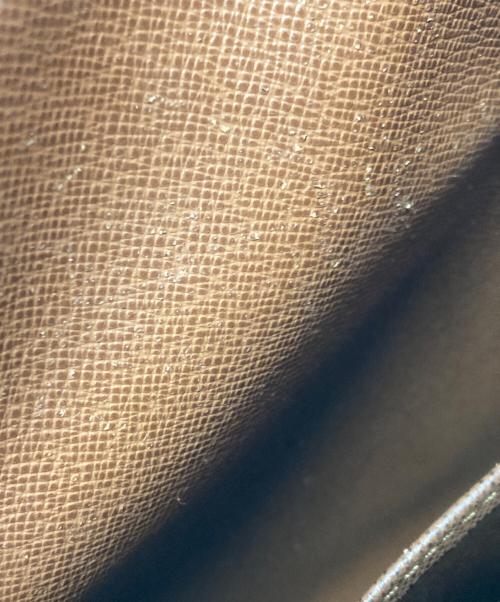 LOUIS VUITTON（ルイ ヴィトン）LOUIS VUITTON (ルイ ヴィトン) ショルダーバッグ ブラウンの古着・服飾アイテム