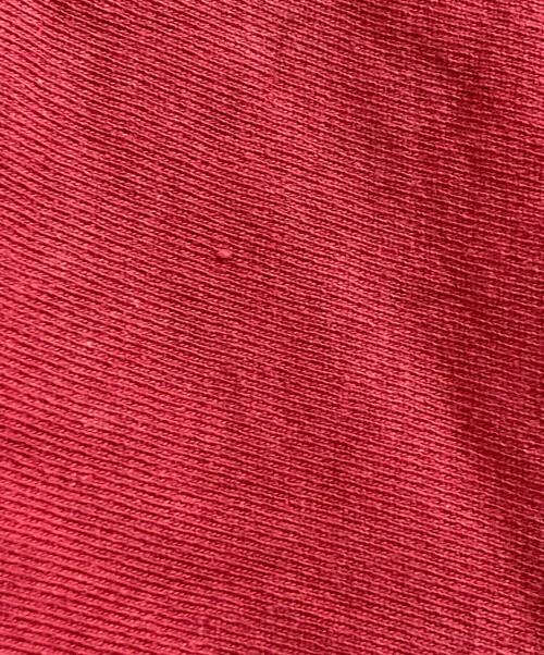 Champion REVERSE WEAVE（チャンピオン リバース ウィーブ）Champion REVERSE WEAVE (チャンピオン リバース ウィーブ) 90Sプルオーバーパーカー レッド サイズ:Lの古着・服飾アイテム