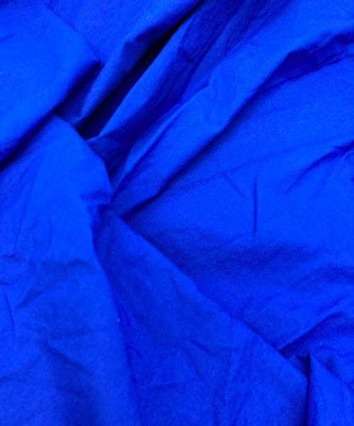 HUIS（ハウス）HUIS (ハウス) 遠州織物オーガニックコットンロングスカート ブルー サイズ:FREEの古着・服飾アイテム