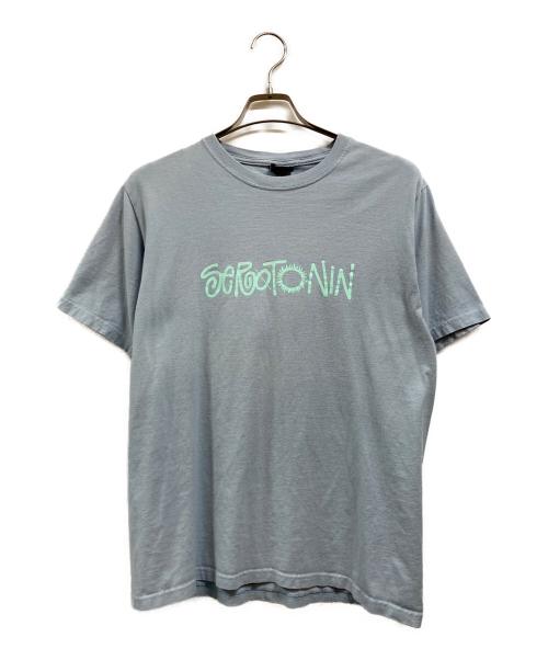 stussy（ステューシー）stussy (ステューシー) Tシャツ ブルー サイズ:Mの古着・服飾アイテム