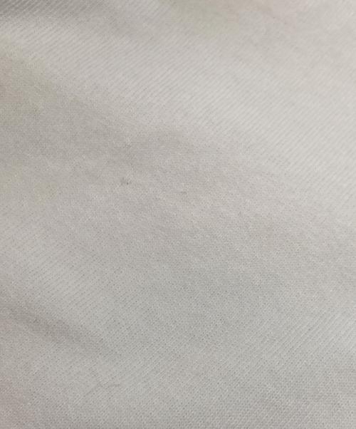 stussy（ステューシー）stussy (ステューシー) Stussy read Em N weep pigment dyed ホワイト サイズ:XLの古着・服飾アイテム