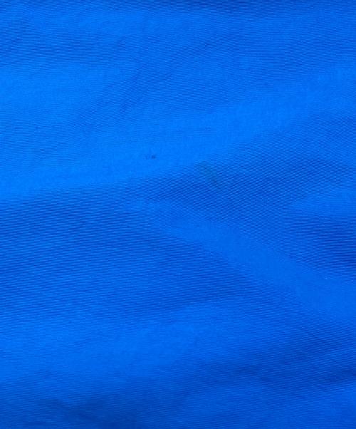 Patagonia（パタゴニア）Patagonia (パタゴニア) メンズ・バギーズ・ロング ７インチ ブルー サイズ:Mの古着・服飾アイテム