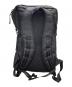 AVIREX (アヴィレックス) SAMSONITE RED (サムソナイト レッド) リュック ブラック：5000円