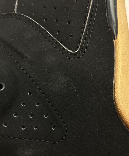 NIKE（ナイキ）NIKE (ナイキ) Air Jordan 6 DMP 