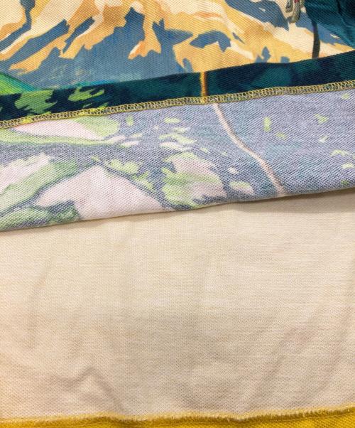 POLO RALPH LAUREN（ポロ・ラルフローレン）POLO RALPH LAUREN (ポロ・ラルフローレン) CHAMONIX ポロシャツ イエロー サイズ:Sの古着・服飾アイテム