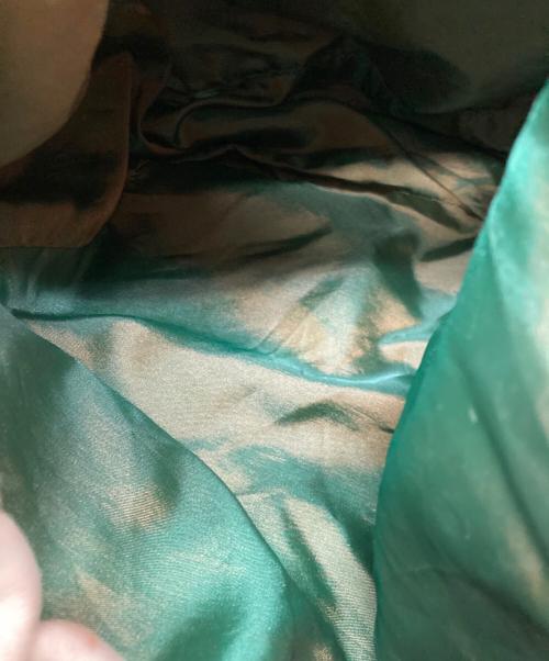 AVIREX（アヴィレックス）AVIREX (アヴィレックス) レザーリュック グリーン×ベージュの古着・服飾アイテム