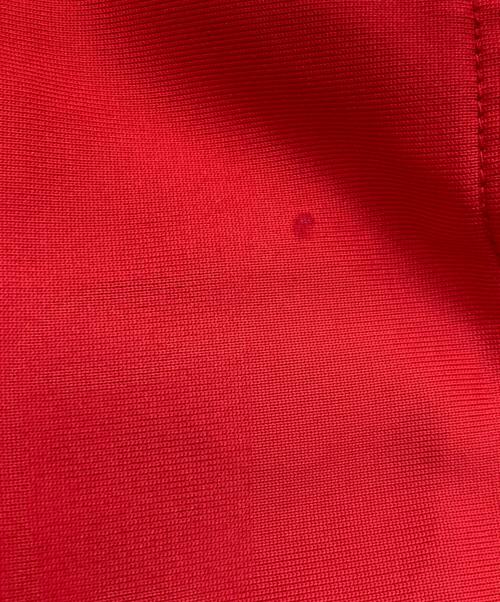 NIKE（ナイキ）NIKE (ナイキ) Tシャツ レッド サイズ:Lの古着・服飾アイテム