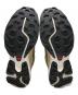 SALOMONの古着・服飾アイテム：17000円