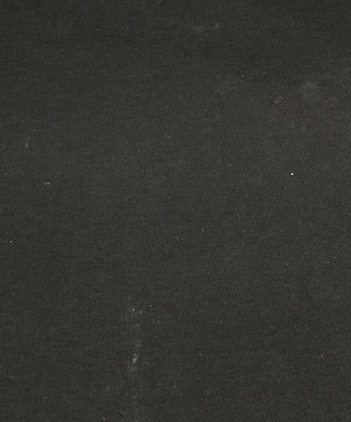 stussy（ステューシー）stussy (ステューシー) Tシャツ ブラック サイズ:Lの古着・服飾アイテム