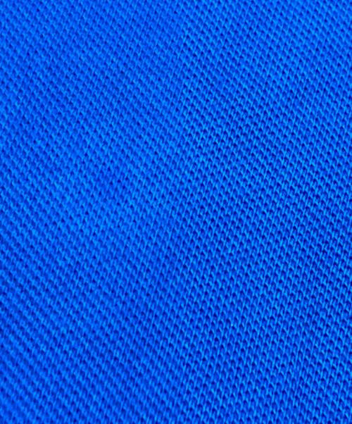 POLO RALPH LAUREN（ポロ・ラルフローレン）POLO RALPH LAUREN (ポロ・ラルフローレン) ビッグポニーポロシャツ ブルー サイズ:Lの古着・服飾アイテム