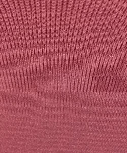 stussy（ステューシー）stussy (ステューシー) トラックパンツ レッド サイズ:Ⅼの古着・服飾アイテム