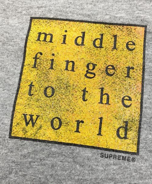 SUPREME（シュプリーム）Supreme (シュプリーム) Middle Finger to the World Tee グレー サイズ:Lの古着・服飾アイテム