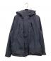 PHENIX（フェニックス）の古着「GORE-TEX MOUNTAIN PARKER」｜ネイビー