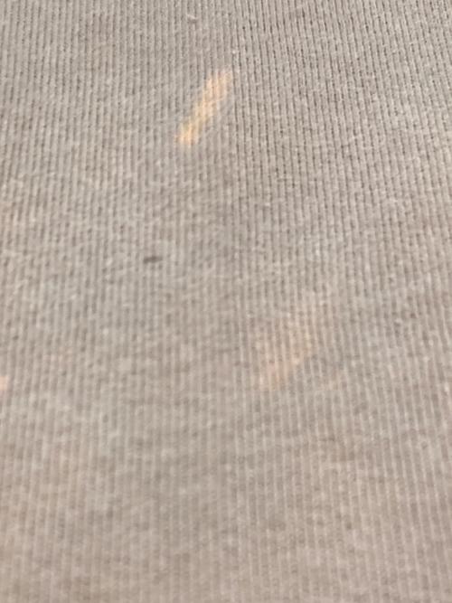 SUPREME（シュプリーム）SUPREME (シュプリーム) スウェット ブラウン サイズ:XLの古着・服飾アイテム