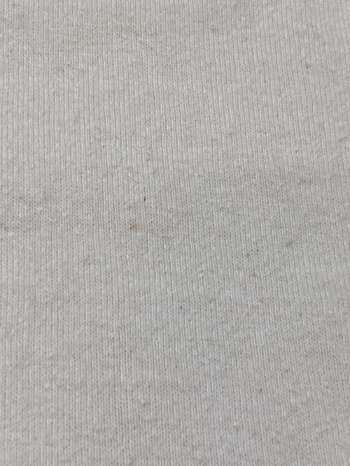 BLURHMS（ブラームス）BLURHMS (ブラームス) 23AW Silk Nep Baseball Raglan Tee TwoTone ホワイト×グレー サイズ:4の古着・服飾アイテム