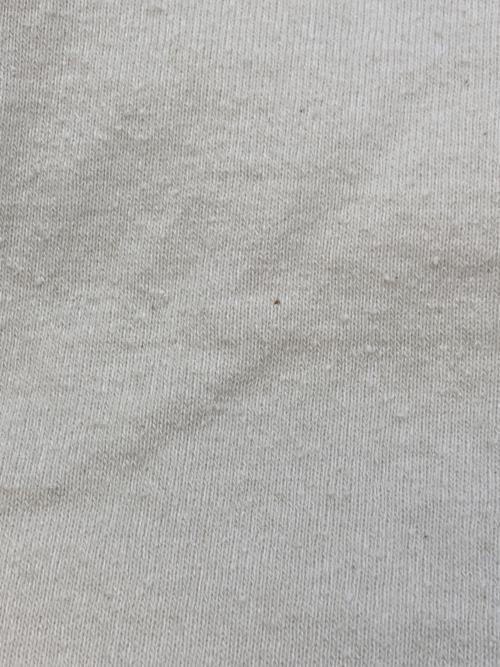 BLURHMS（ブラームス）BLURHMS (ブラームス) 23AW Silk Nep Baseball Raglan Tee TwoTone ホワイト×グレー サイズ:4の古着・服飾アイテム