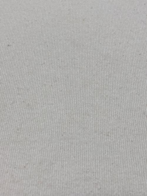 BLURHMS（ブラームス）BLURHMS (ブラームス) 23AW Silk Nep Baseball Raglan Tee TwoTone ホワイト×グレー サイズ:4の古着・服飾アイテム