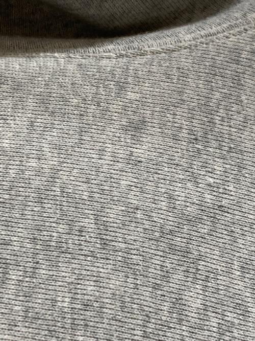Champion（チャンピオン）Champion (チャンピオン) stussy (ステューシー) プルオーバーパーカー グレー サイズ:Mの古着・服飾アイテム