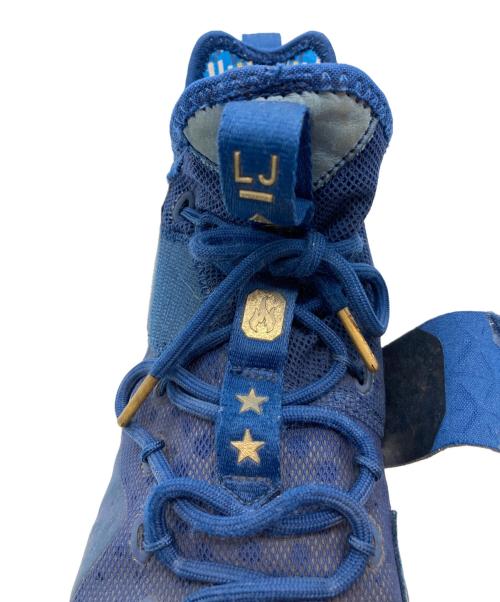 NIKE（ナイキ）NIKE (ナイキ) LEBRON 14 LMTD AGIMAT ブルー サイズ:27.5の古着・服飾アイテム