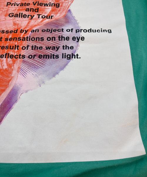 stussy（ステューシー）stussy (ステューシー) プリントTシャツ グリーン サイズ:Ｌの古着・服飾アイテム