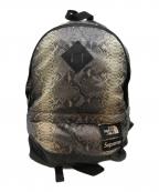 SUPREME×THE NORTH FACEシュプリーム×ザ ノース フェイス）の古着「Snakeskin Lightweight Day BackPack」｜グレー