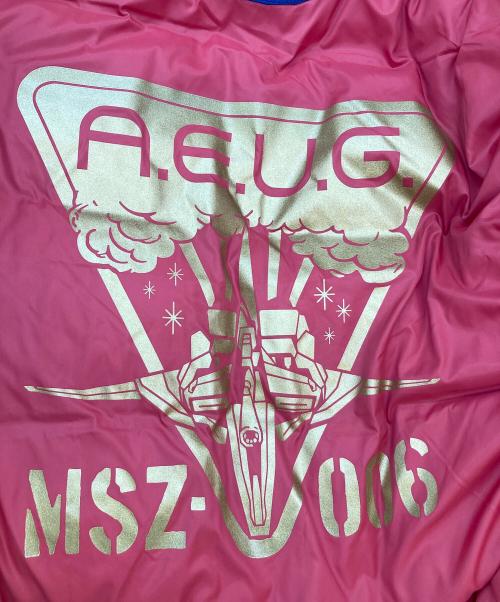 NANGA（ナンガ）NANGA (ナンガ) STRICT-G (ストリクトジー) ダウンジャケット ネイビー サイズ:Lの古着・服飾アイテム