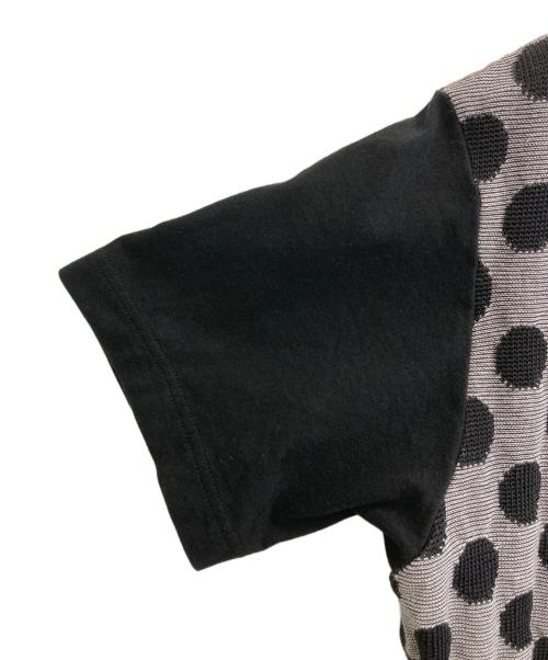 COMME des GARCONS HOMME（コムデギャルソン オム）COMME des GARCONS HOMME (コムデギャルソン オム) ドット柄カットソー グレー×ブラック サイズ:Mの古着・服飾アイテム