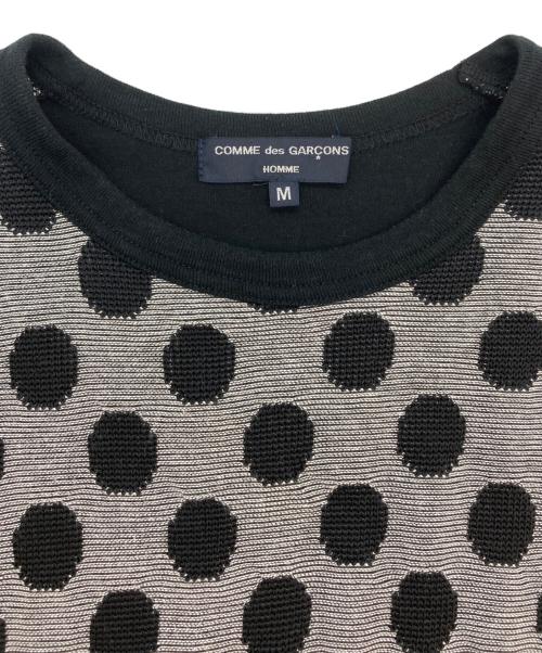 COMME des GARCONS HOMME（コムデギャルソン オム）COMME des GARCONS HOMME (コムデギャルソン オム) ドット柄カットソー グレー×ブラック サイズ:Mの古着・服飾アイテム