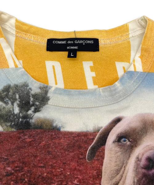 COMME des GARCONS HOMME（コムデギャルソン オム）COMME des GARCONS HOMME (コムデギャルソン オム) フォトプリントTシャツ マルチカラー サイズ:Lの古着・服飾アイテム