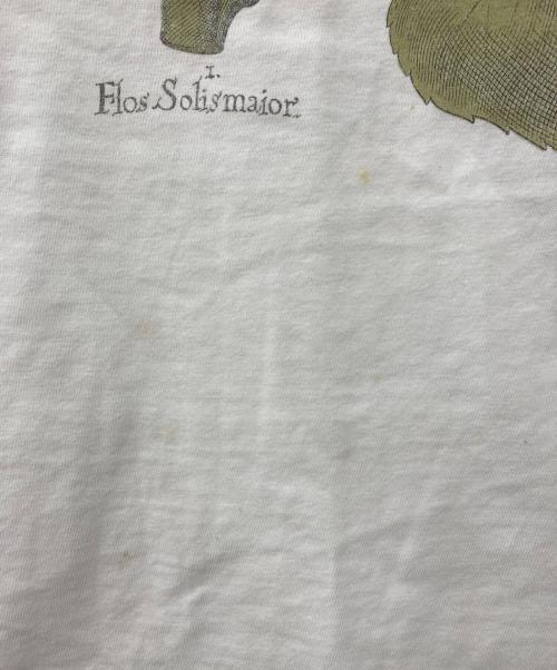 Hanes（ヘインズ）Hanes (ヘインズ) ひまわりプリントＴ ホワイト サイズ:XLの古着・服飾アイテム