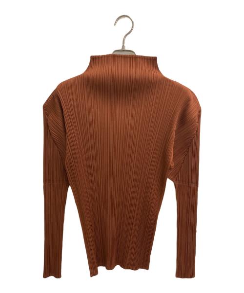 PLEATS PLEASE（プリーツプリーズ）PLEATS PLEASE (プリーツプリーズ) プリーツカットソー ブラウン サイズ:34の古着・服飾アイテム