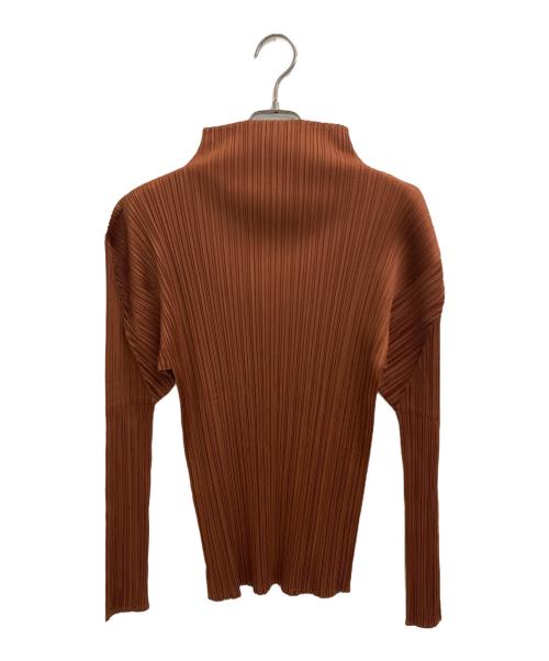 PLEATS PLEASE（プリーツプリーズ）PLEATS PLEASE (プリーツプリーズ) プリーツカットソー ブラウン サイズ:34の古着・服飾アイテム
