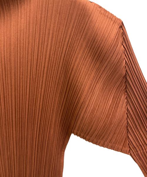 PLEATS PLEASE（プリーツプリーズ）PLEATS PLEASE (プリーツプリーズ) プリーツカットソー ブラウン サイズ:34の古着・服飾アイテム