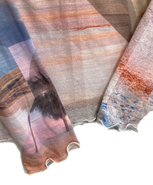 PHEENY（フィーニー）PHEENY (フィーニー) PRINT FRILL CREW NECK(MULTI) マルチカラー サイズ:freeの古着・服飾アイテム