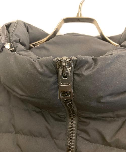 HERNO Laminar（ヘルノ ラミナー）HERNO Laminar (ヘルノ ラミナー) Laminarダウンコート ブラック サイズ:42の古着・服飾アイテム
