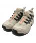 SALOMON（サロモン）の古着「ACS+OG」｜アイボリー