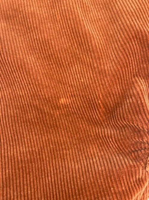 COMME des GARCONS HOMME PLUS（コムデギャルソンオムプリュス）COMME des GARCONS HOMME PLUS (コムデギャルソンオムプリュス) コーデュロイサルエルパンツ ブラウン サイズ:SIZE Lの古着・服飾アイテム
