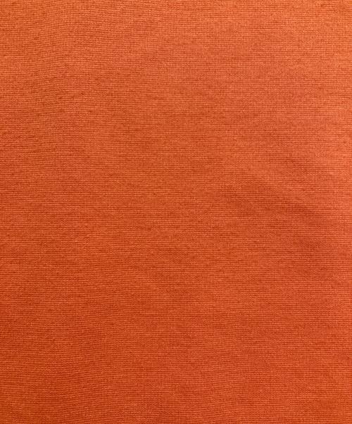 QALB（カルブ）QALB (カルブ) 半袖カットソー オレンジ サイズ:Fの古着・服飾アイテム