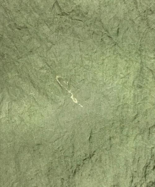 HEVO（イーヴォ）Hevo (イーヴォ) 後染めナイロンコート グリーン サイズ:不明の古着・服飾アイテム