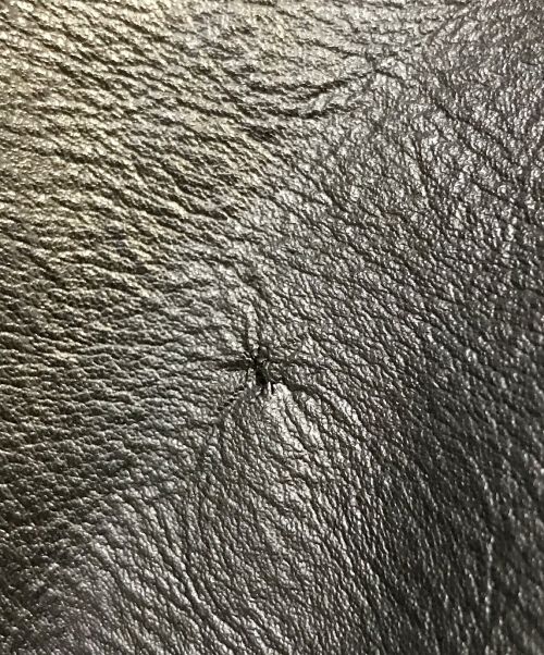 stooge&co（ストゥージ＆コー）stooge&co (ストゥージ＆コー) シングルライダースジャケット ブラック サイズ:Sの古着・服飾アイテム