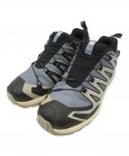 SALOMONサロモン）の古着「XA PRO 3D V9 GTX」｜グレー