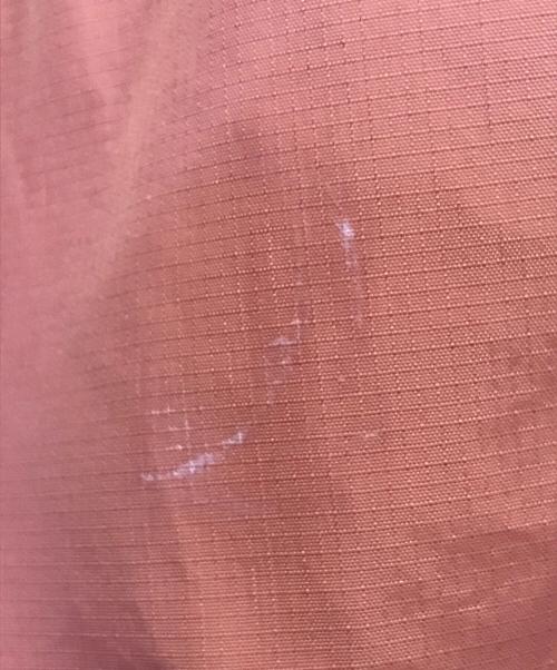 Patagonia（パタゴニア）Patagonia (パタゴニア) WS TORRENTSHELL 3L JKT ピンク サイズ:Mの古着・服飾アイテム