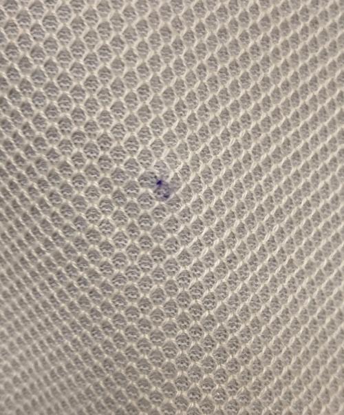 TATRAS（タトラス）TATRAS (タトラス) ポロシャツ ベージュ サイズ:01の古着・服飾アイテム