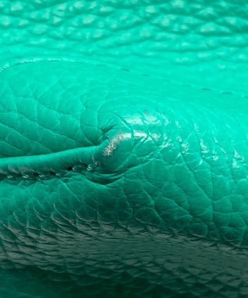 YOUNG & OLSEN The DRYGOODS STORE（ヤングアンドオルセン ザ ドライグッズストア）YOUNG & OLSEN The DRYGOODS STORE (ヤングアンドオルセン ザ ドライグッズストア) EMBOSSED LEATHER HAVERSACK グリーンの古着・服飾アイテム