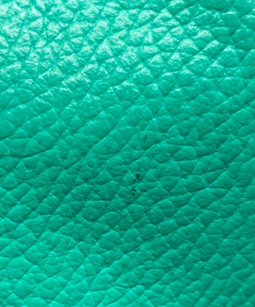 YOUNG & OLSEN The DRYGOODS STORE（ヤングアンドオルセン ザ ドライグッズストア）YOUNG & OLSEN The DRYGOODS STORE (ヤングアンドオルセン ザ ドライグッズストア) EMBOSSED LEATHER HAVERSACK グリーンの古着・服飾アイテム