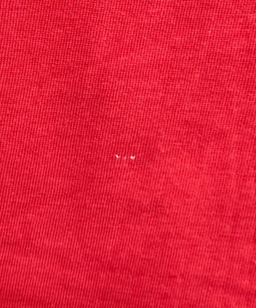 stussy（ステューシー）stussy (ステューシー) RASTA CIRCLE LION LOGO T / ラスタサークルライオンロゴTシャツ レッド サイズ:ＬＬの古着・服飾アイテム